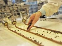 フジパン株式会社の仕事画像2