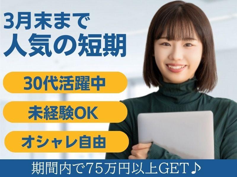 株式会社セリオ 人材派遣sacaso(案件-0160CS2)の仕事画像1