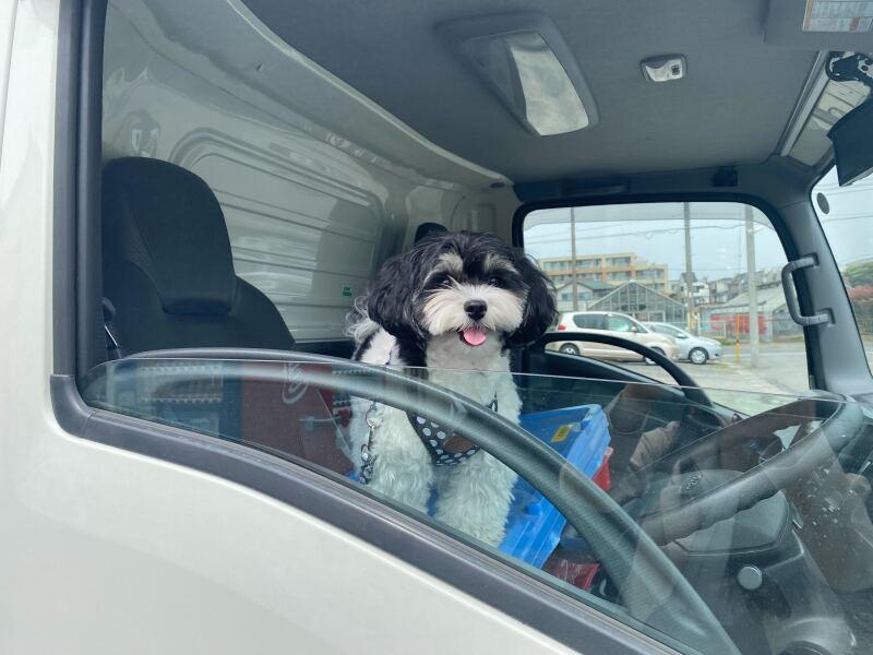 株式会社八重洲運輸 本社営業所の仕事画像2