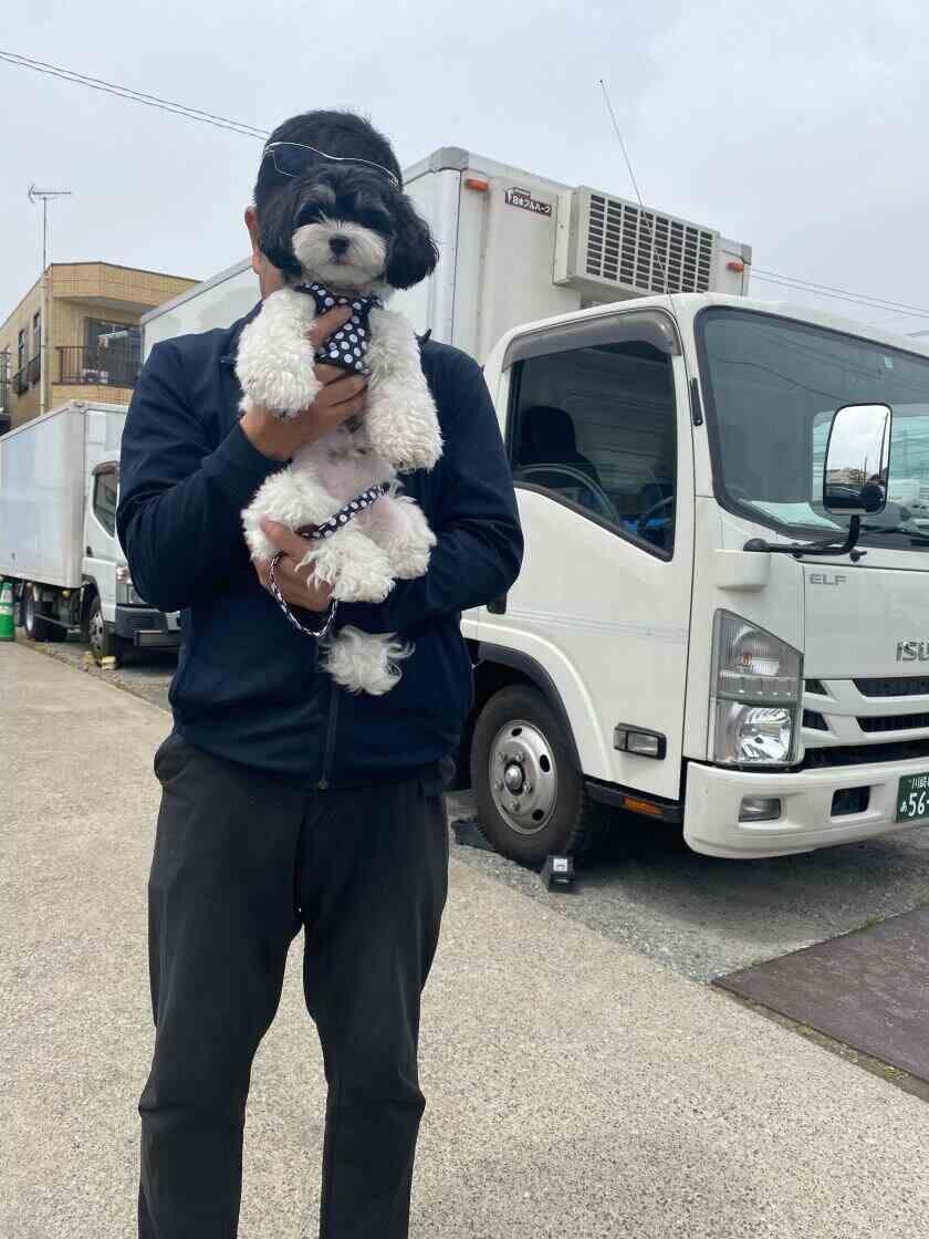 株式会社八重洲運輸 本社営業所の制服1