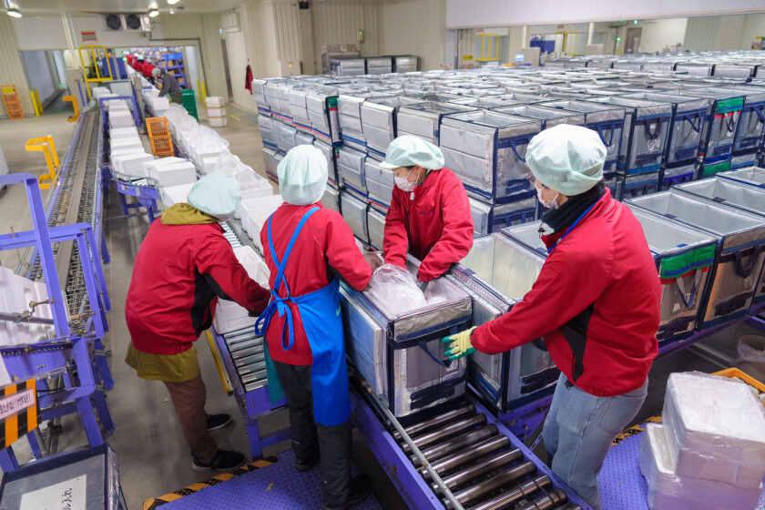 株式会社クローバーコネクト 駿河事業所の制服1