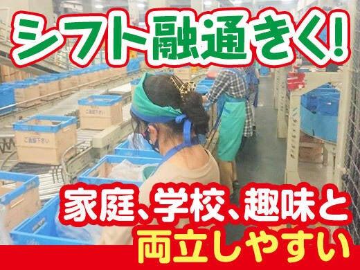 クローバーコネクト座間食品セットセンターの仕事画像2