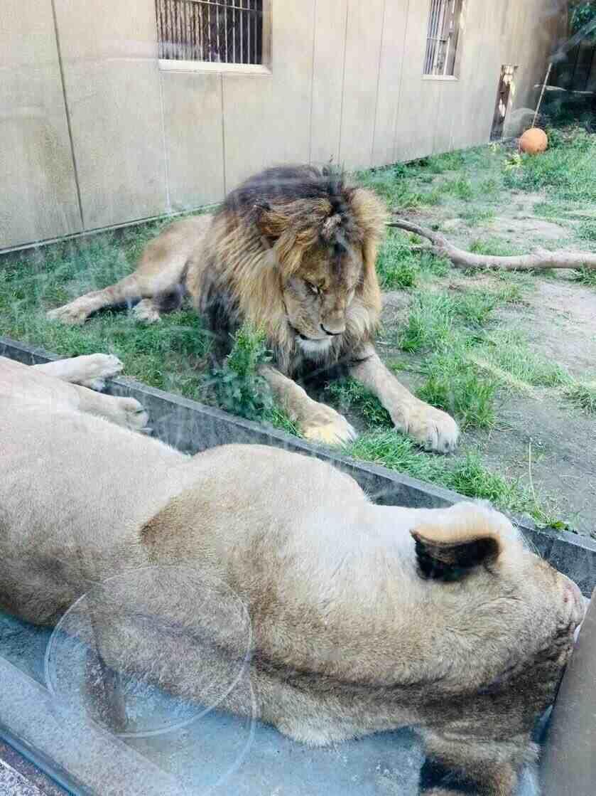 東武動物公園の制服2