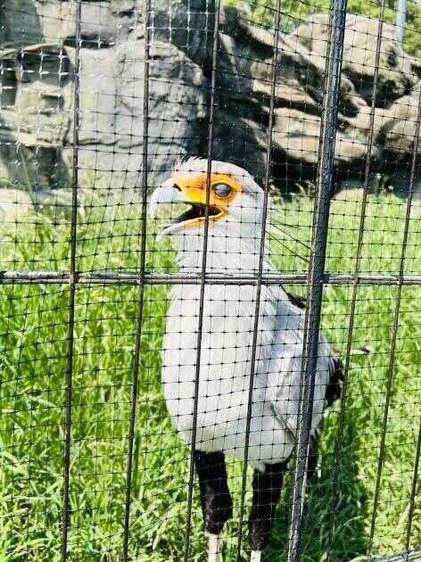 東武動物公園の制服5