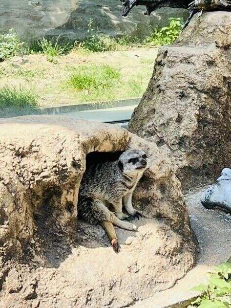 東武動物公園の制服4