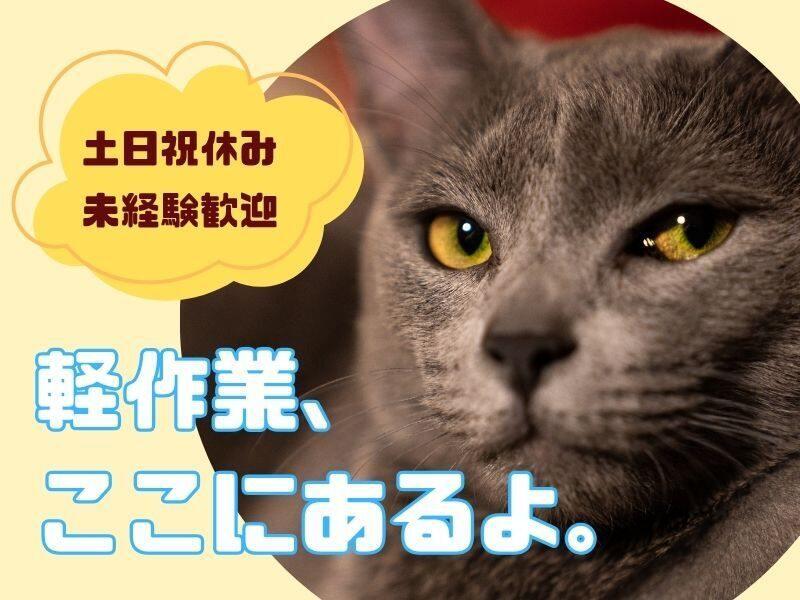 ジョブフィール採用係の仕事画像1