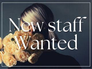 株式会社ディンプル 大阪オフィスの仕事画像1