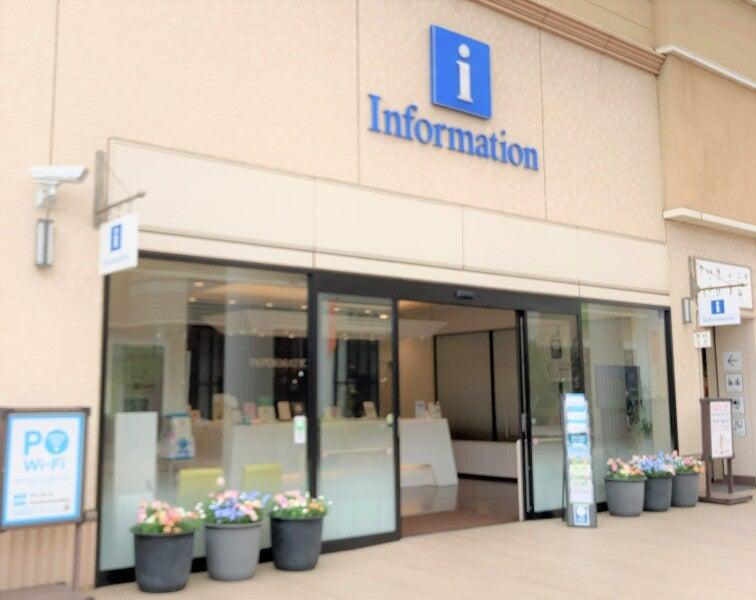 株式会社ディンプル東京オフィス(WEB面談実施中)の仕事画像1