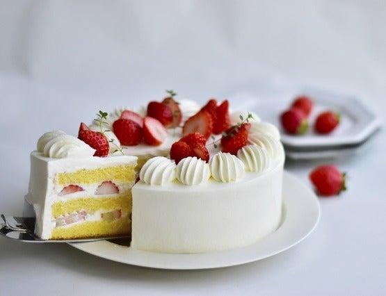 株式会社ディンプル 大阪オフィスの仕事画像2