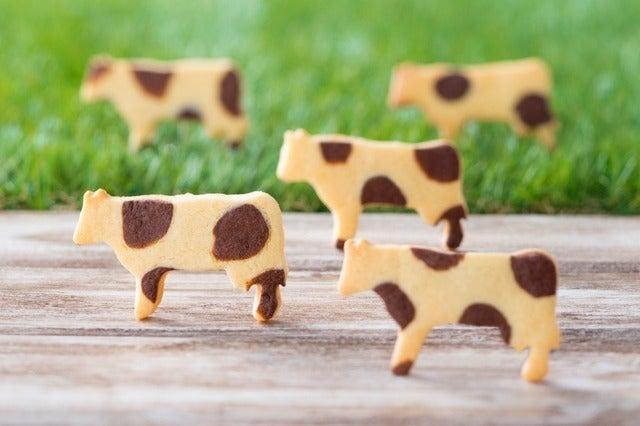 株式会社ディンプル 福岡オフィスの仕事画像2