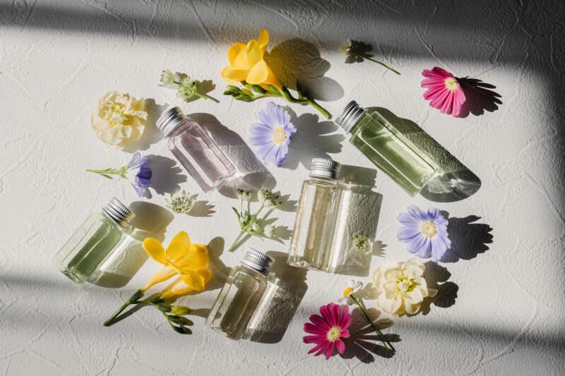 株式会社ディンプル 大阪オフィス(オンライン登録実施中)の仕事画像2