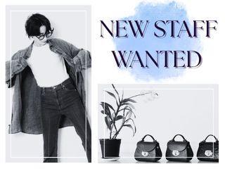 株式会社ディンプル 大阪オフィスの仕事画像1