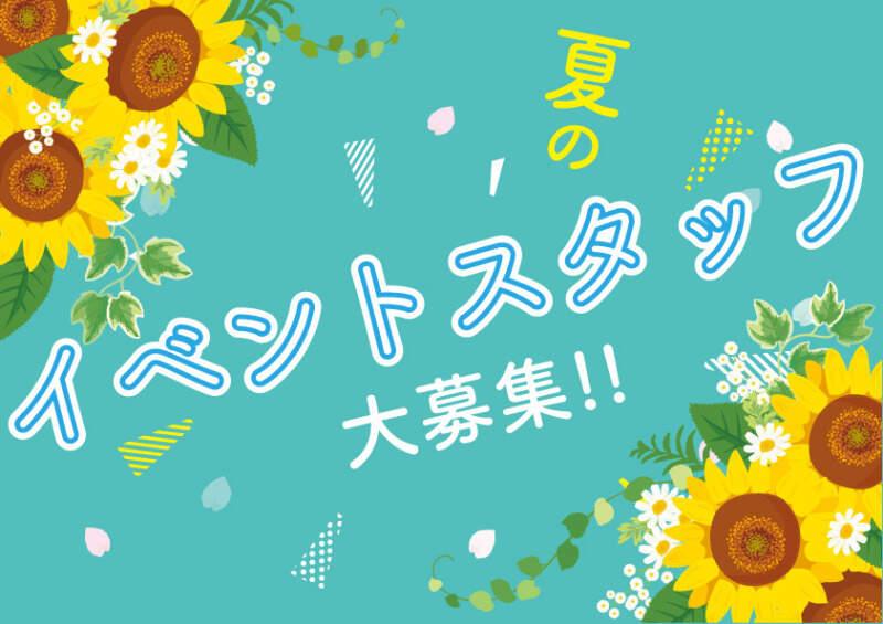 株式会社ディンプル(WEB登録面談実施中)の仕事画像1