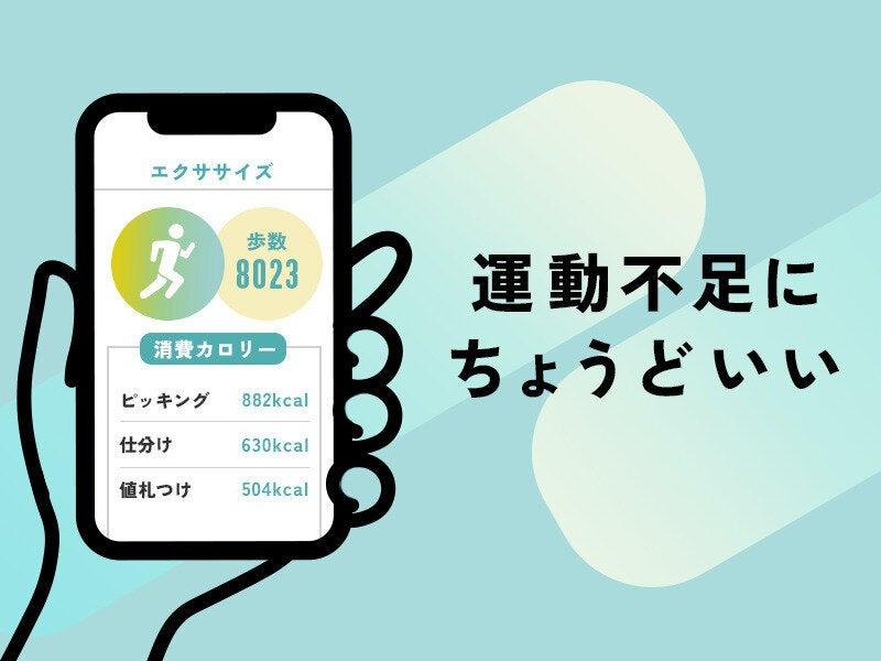 株式会社マイワーク 守谷営業所【mw 採】の仕事画像3