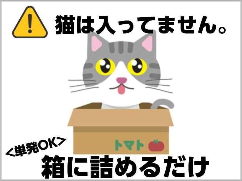 株式会社ファインドオン 採用窓口の仕事画像1