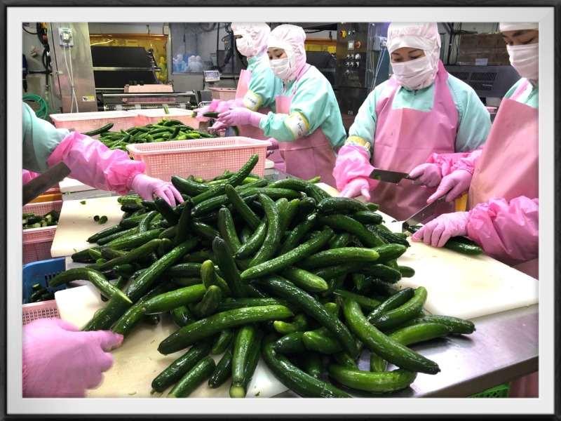 株式会社ピックルスコーポレーション 所沢工場の仕事画像2