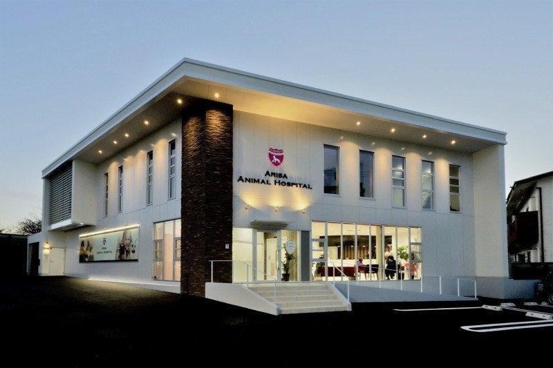 アリサ動物病院の仕事画像3