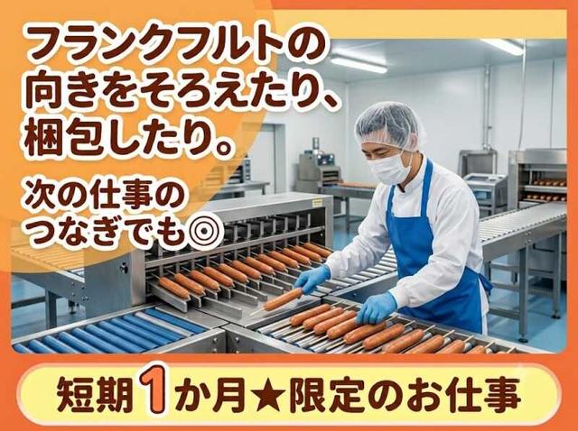 短期約1か月★積極採用中|7月すぐに勤務開始できます★日払いOK(工場・製造、高槻市)のイメージ画像