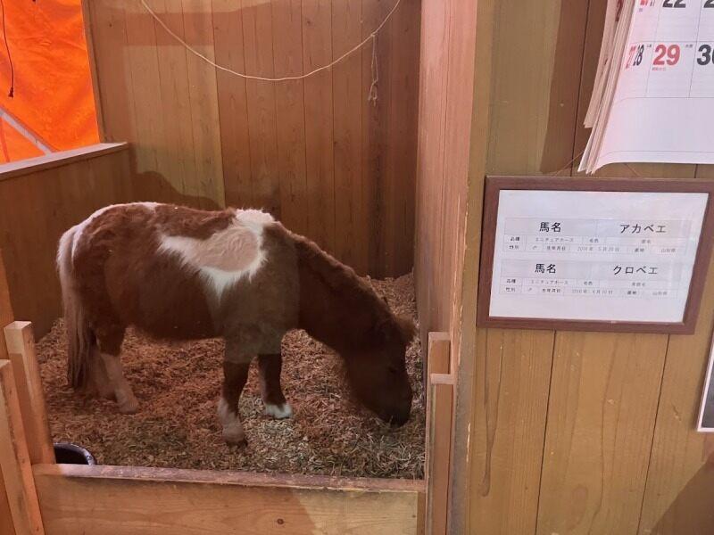 ふれあい広場の仕事画像1