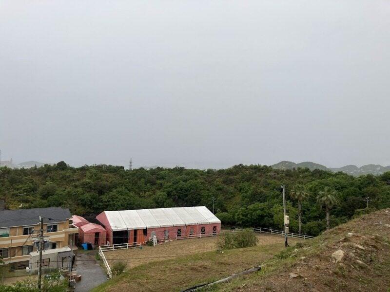 ふれあい広場の仕事画像2