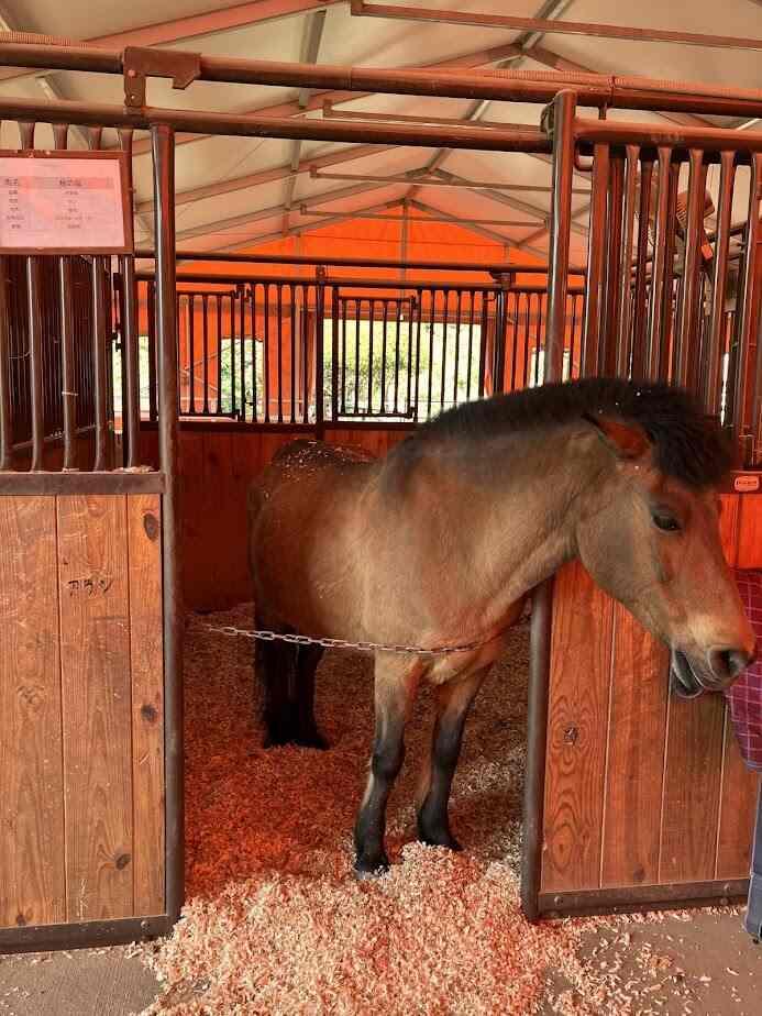 ふれあい広場の制服1