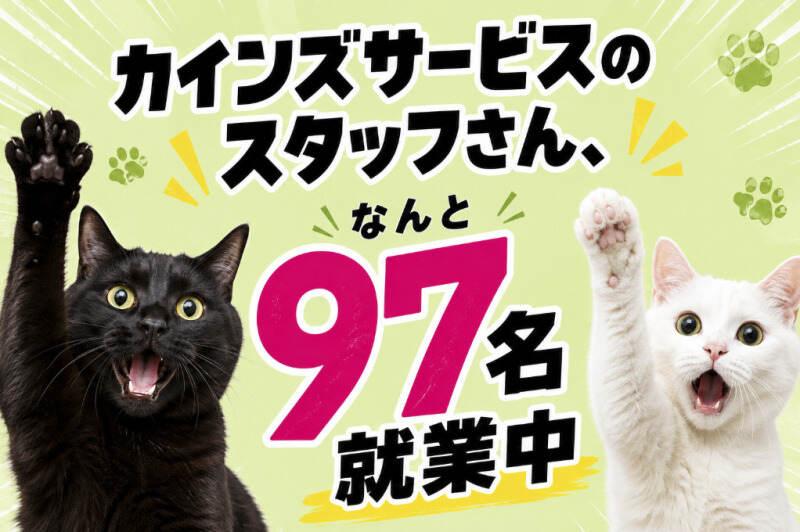 株式会社カインズサービス 本社【A】の仕事画像1
