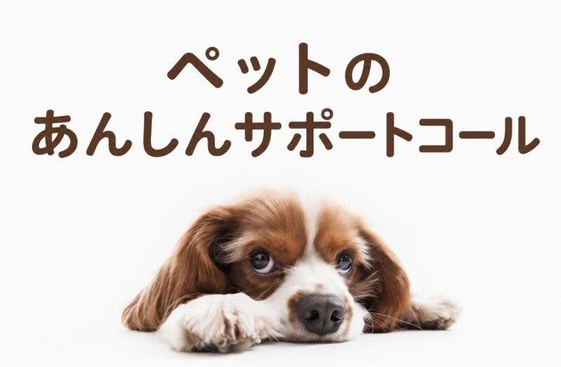 株式会社カインズサービス 本社【A】の仕事画像1