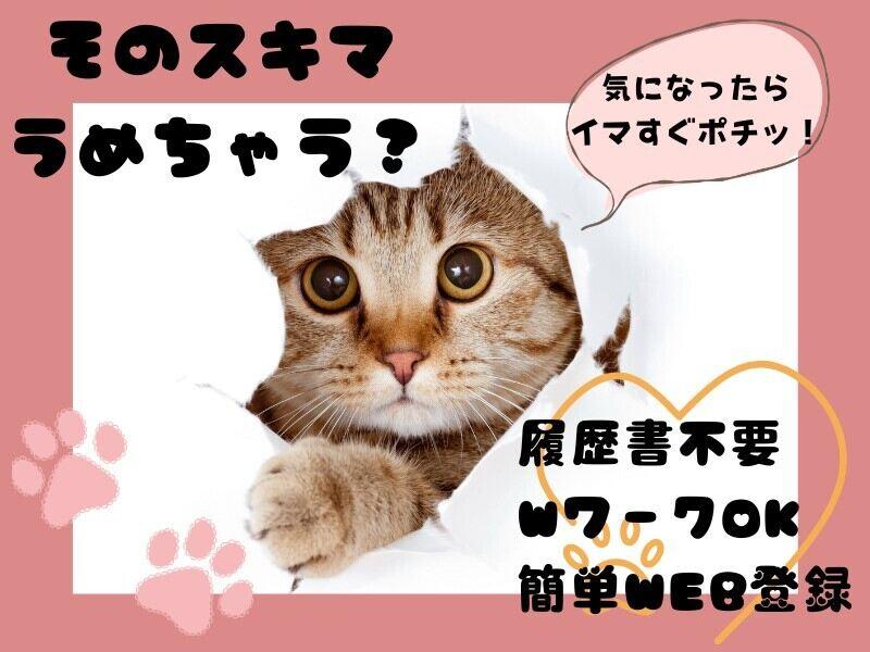 株式会社エンクルー 本社の仕事画像1