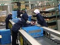 株式会社ジェーラインコーポレーションの仕事画像3