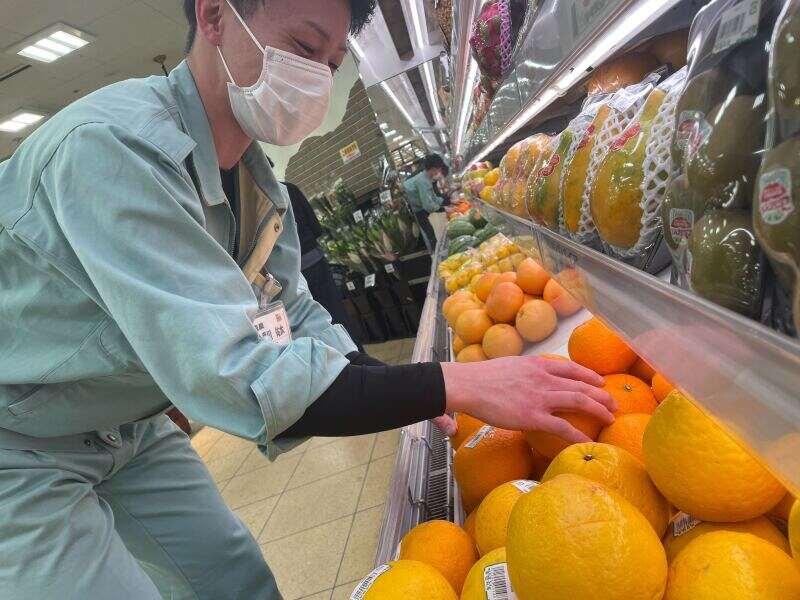 越前屋 社員募集の仕事画像1