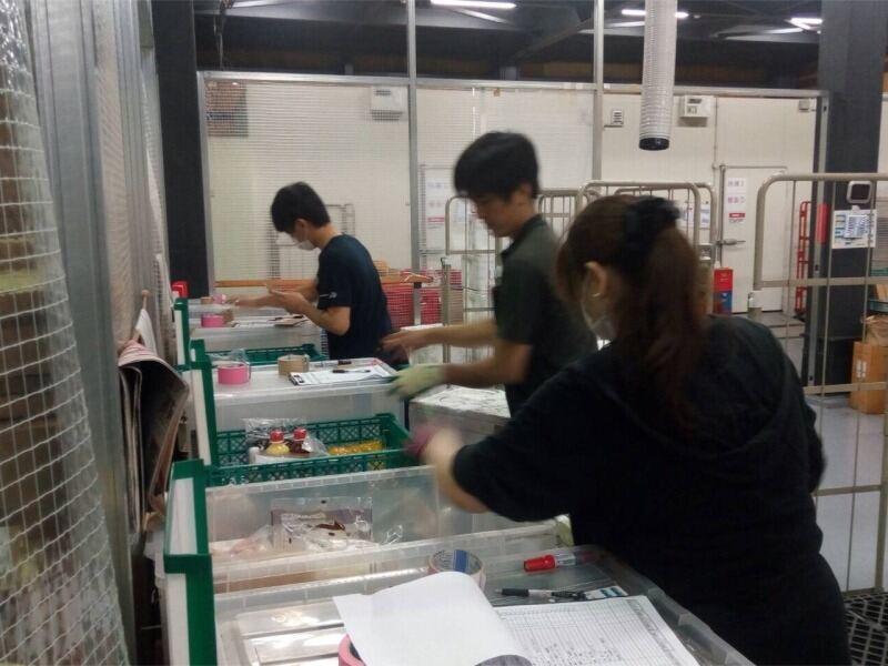 株式会社ルーティンの仕事画像1