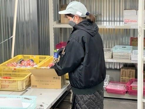 株式会社トランストレッヂ 早島営業所の仕事画像2