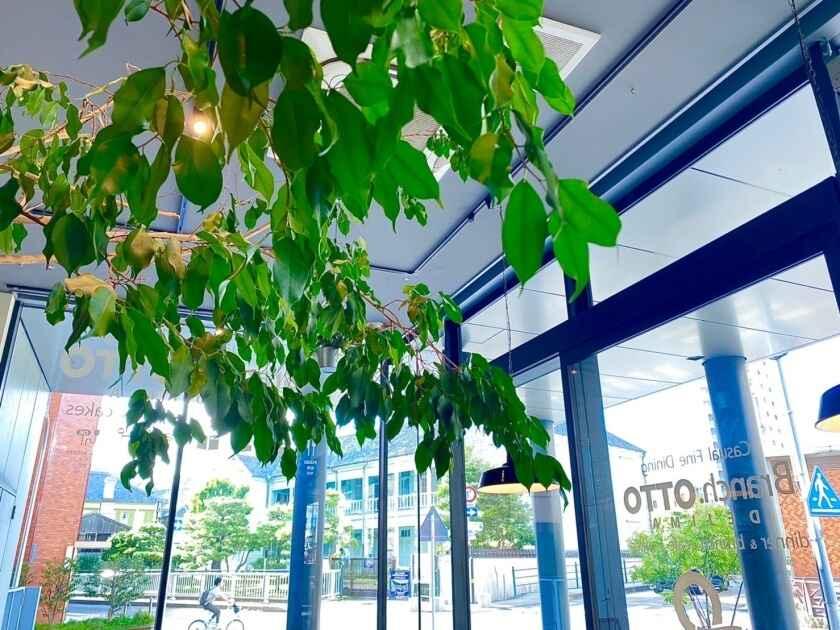 Branch. OTTO DEJIMA(ブランチ オットー デジマ)の制服5