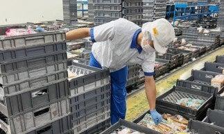 物流センター内にてピッキング・仕分けの軽作業☆彡の仕事画像1