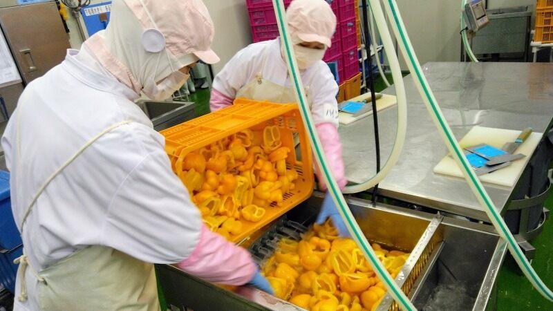 デリカフーズ株式会社 大阪事業所の仕事画像1