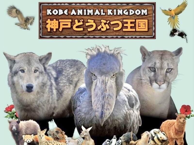 神戸どうぶつ王国の仕事画像1