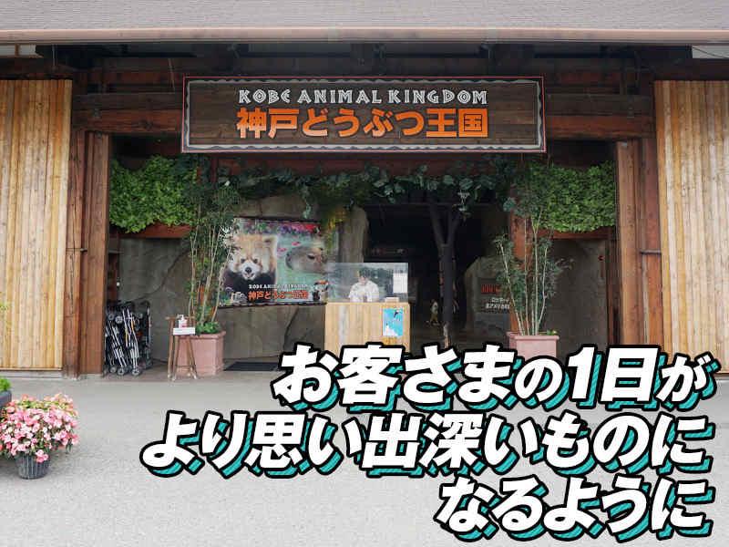 神戸どうぶつ王国の仕事画像2