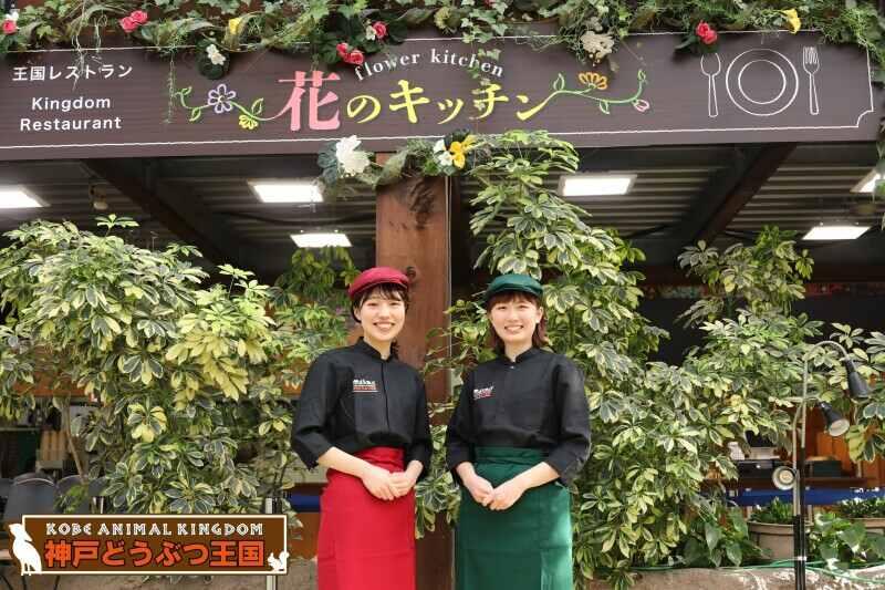 神戸どうぶつ王国の仕事画像1