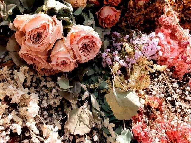 株式会社ハートピア パーティプロ本部の仕事画像3