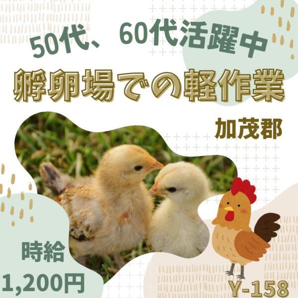 株式会社ドゥパワーコーポレーション応募受付の仕事画像1