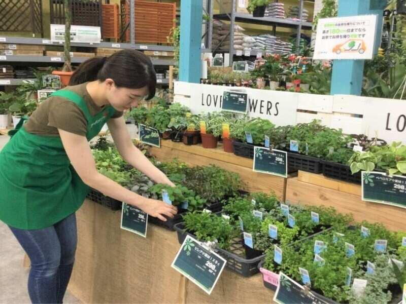 ホームセンターコーナン 明石二見店の仕事画像1