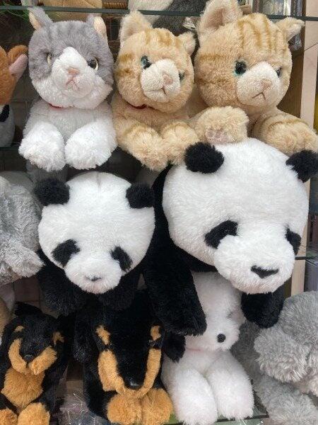 バラエティ101 西宮店の仕事画像2