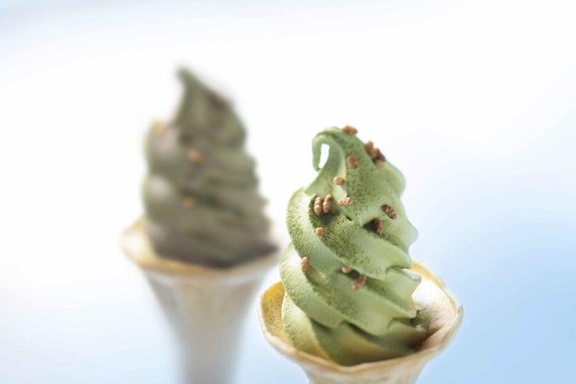 田頭茶舗 おのだサンパーク店の制服4