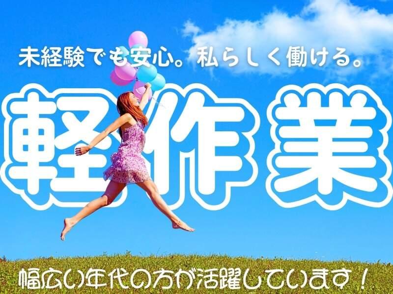 株式会社パワースタッフジャパン 宇都宮オフィスの仕事画像2