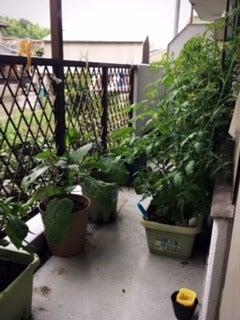 あおぞらクラブ1の制服4