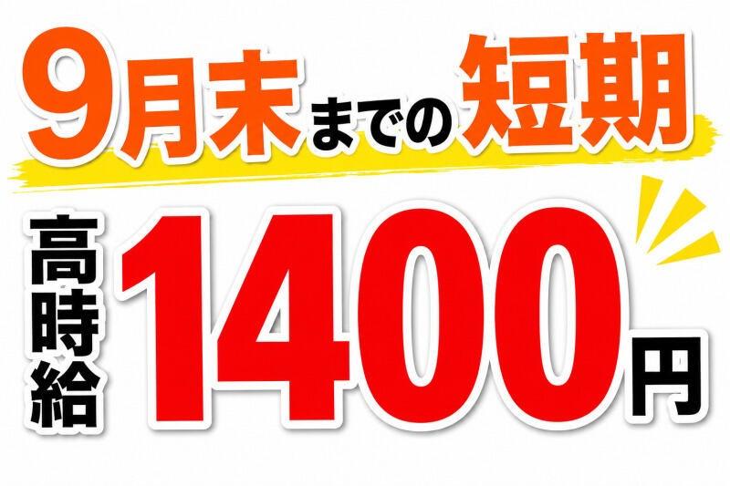 株式会社エイビス 株式会社エイビス【N3】の仕事画像2