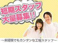 株式会社エイビス 株式会社エイビス【OS】の仕事画像1