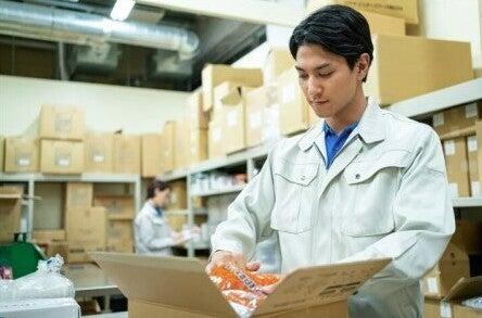 株式会社エイビス 株式会社エイビス【N3】の仕事画像1