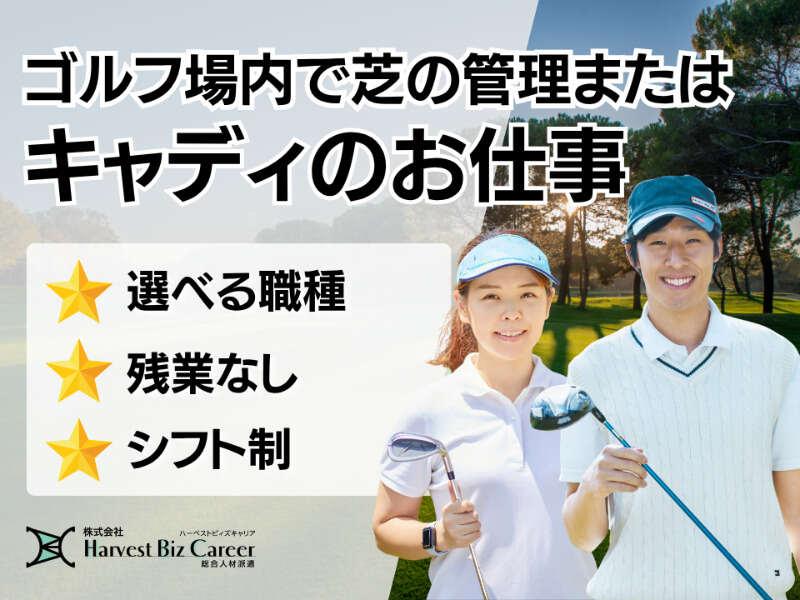 株式会社ハーベストビィズキャリア つくば本社の仕事画像1