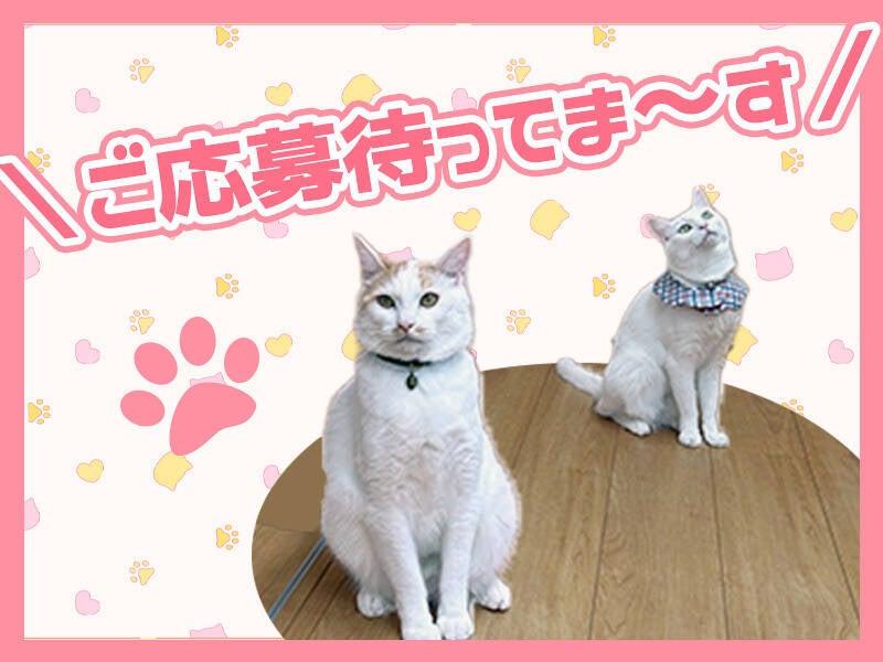 株式会社つるみの仕事画像2